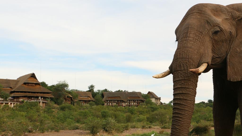 Victoria Falls Safari Suites Exterior foto